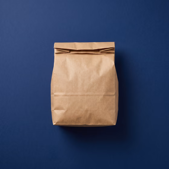 Kraft paper bag with folded top