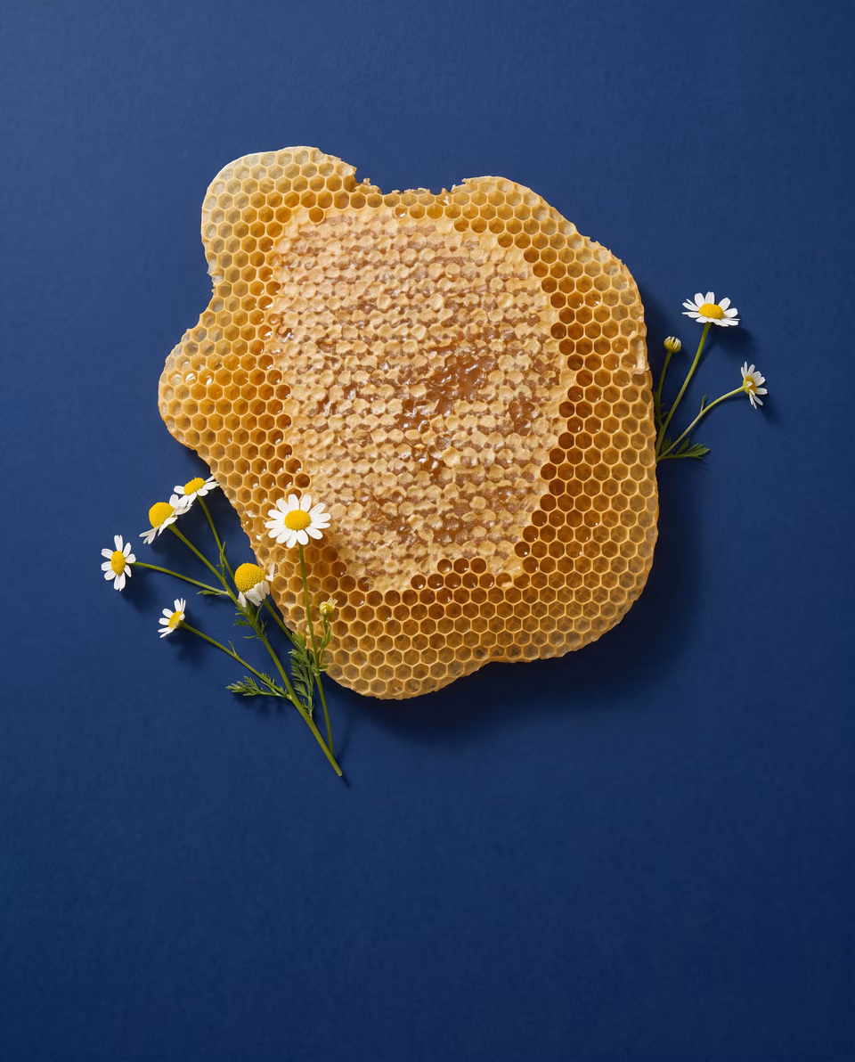 Golden honeycomb with white and yellow wildflowers