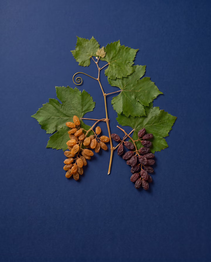 Kishmish (raisins) specimen (representative image)